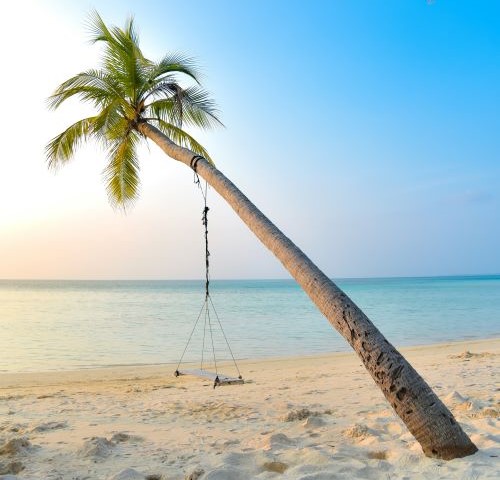 work remotely from Tulum