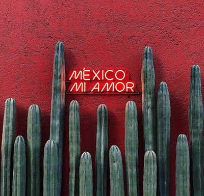 Tulum Coworking - Great things about living in Tulum